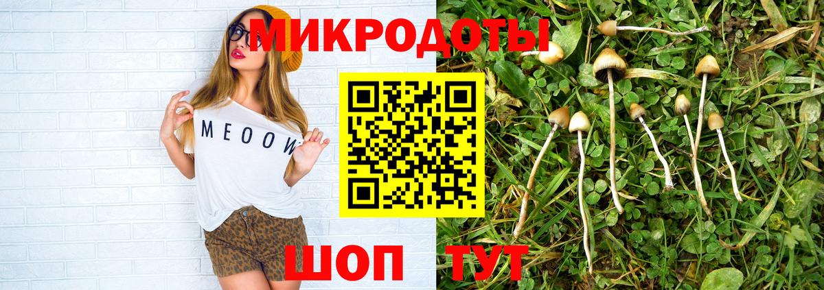 Псилоцибиновые грибы MAGIC MUSHROOMS  Вход с VPN  Усть-Джегута 